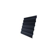 Профнастил С20А 0,45 PE-Double RAL 7024 мокрый асфальт