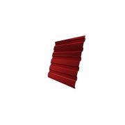 Профнастил С20А 0,45 PE с пленкой RAL 3003 рубиново-красный