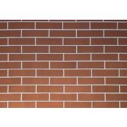 Кирпич облицовочный Керма терракот светлый 1 УС гладкий 250х120х65 М200 F100