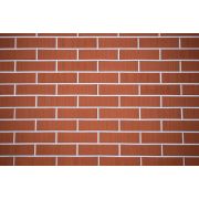 Кирпич облицовочный Керма красный 1 бархат 250х120х65 М200 F100