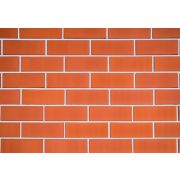 Кирпич облицовочный Керма красный 1 бархат 250х120х65 М200 F75