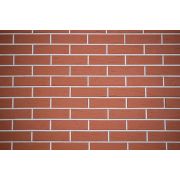 Кирпич облицовочный Керма красный 1 рустик 250х120х65 М200 F75