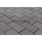 Плитка тротуарная Steingot Прямоугольник (фаска 1,5мм) 200х100х60мм серый полный прокрас