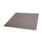 Профнастил стеновой СС-10 (0,45 мм)